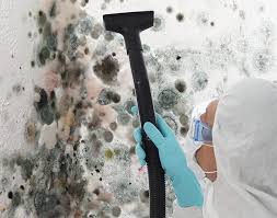 Best Industrial Mold Remediation  in Centrevle, IL